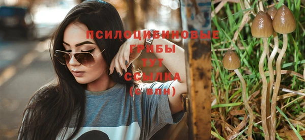 прущая мука Михайловка